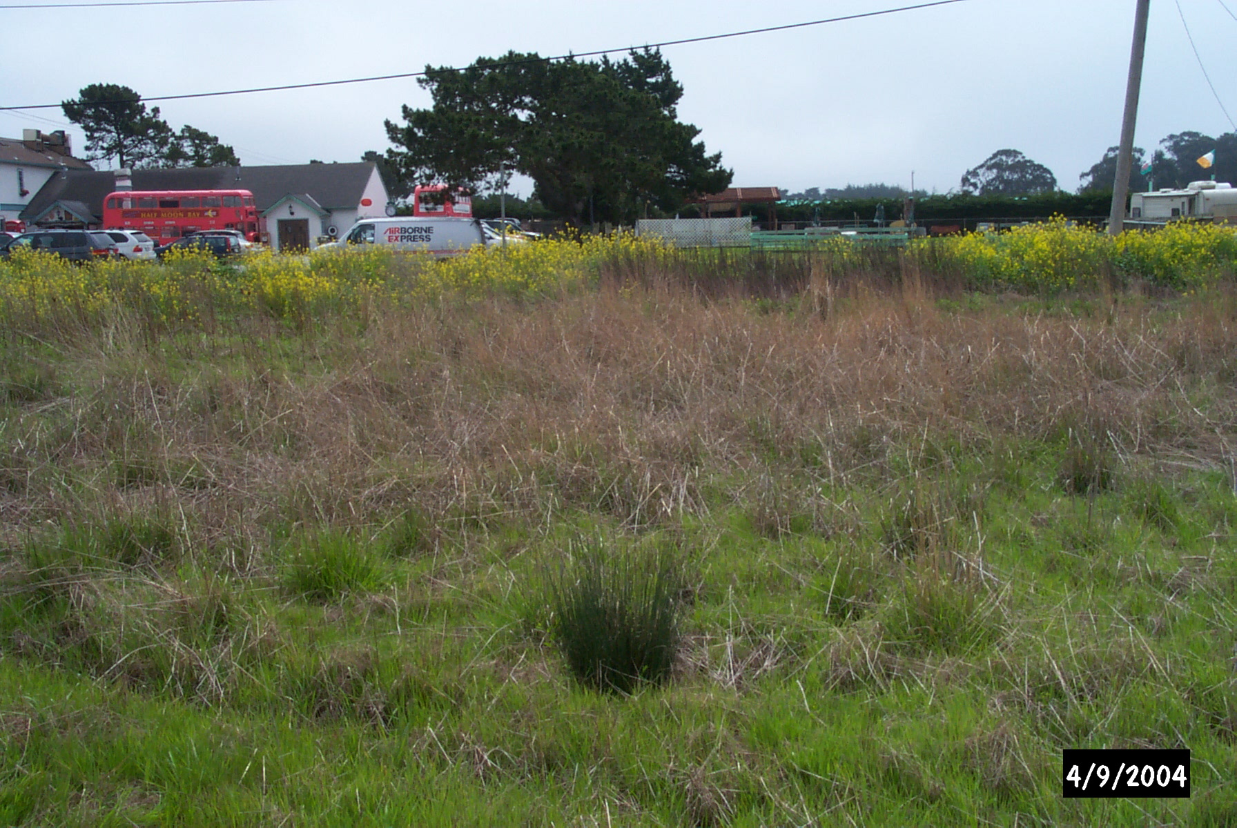 standing on the proposed road